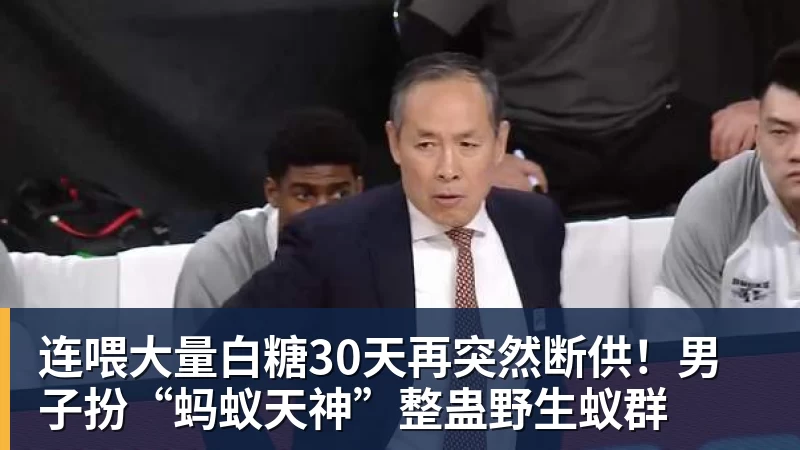 连喂大量白糖30天再突然断供！男子扮“蚂蚁天神”整蛊野生蚁群